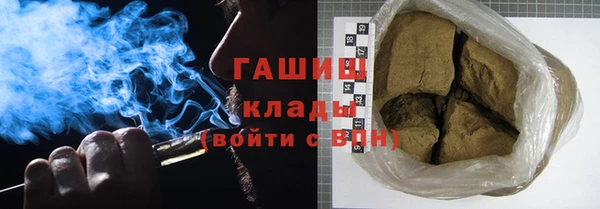 гидра Алексеевка