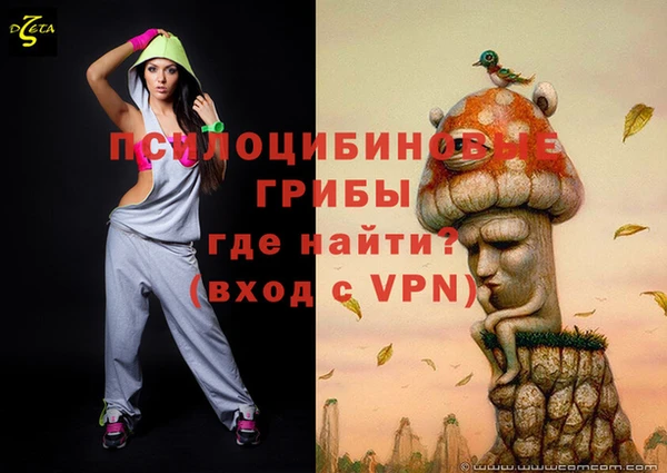 дмт Алзамай