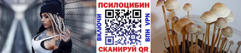 Галлюциногенные грибы Magic Shrooms Новокубанск